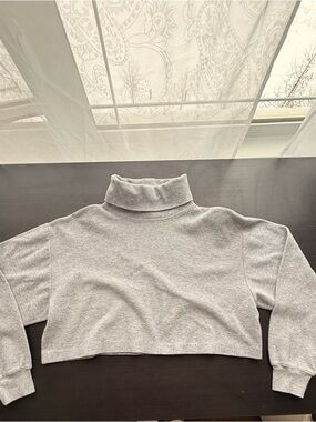 The Group Babaton Cozy Gray Cropped Turtleneck Sweatshirt